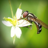 /album/la-vida-mi-vida/photolia-a02-jpg/