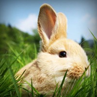 /album/la-vida-mi-vida/photolia-a03-jpg/