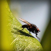 /album/la-vida-mi-vida/photolia-a04-jpg/