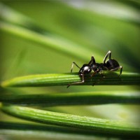 /album/la-vida-mi-vida/photolia-a05-jpg/