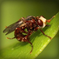 /album/la-vida-mi-vida/photolia-a06-jpg/