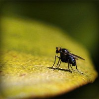 /album/la-vida-mi-vida/photolia-a07-jpg/