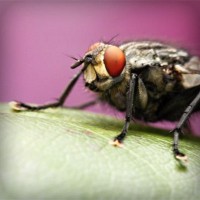 /album/la-vida-mi-vida/photolia-a08-jpg/